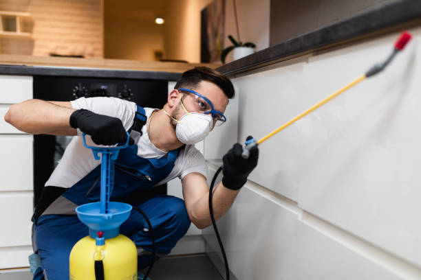 Best Affordable Pest Control Services  in Litchfield, MI