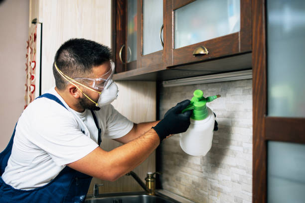 Best Best Pest Control Near Me  in Litchfield, MI