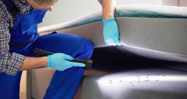 Trusted Litchfield, MI Pest Control Experts