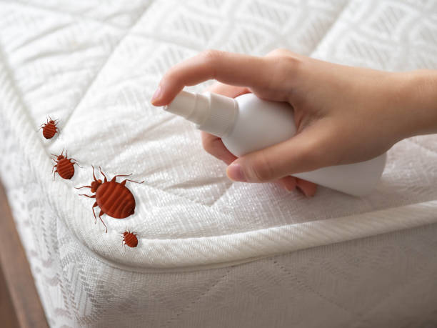 Best Insect Control  in Litchfield, MI