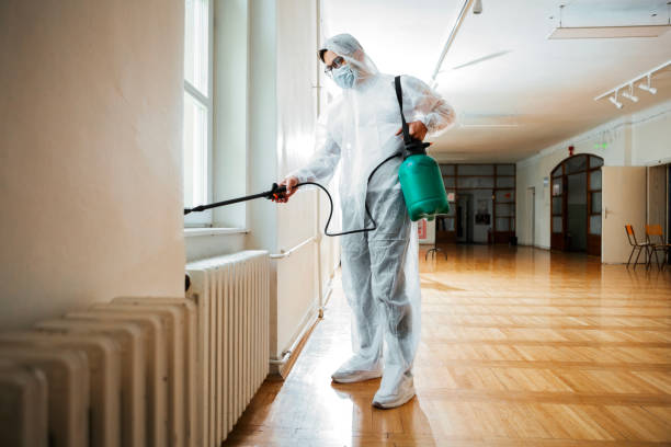 Best Wasp Removal Services  in Litchfield, MI