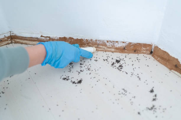 Best Best Pest Control Companies  in Litchfield, MI