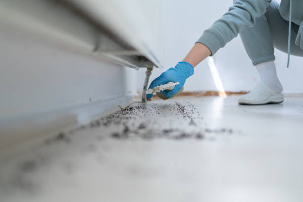 Best Bird Control  in Litchfield, MI